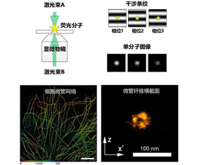 干涉单分子定位显微镜