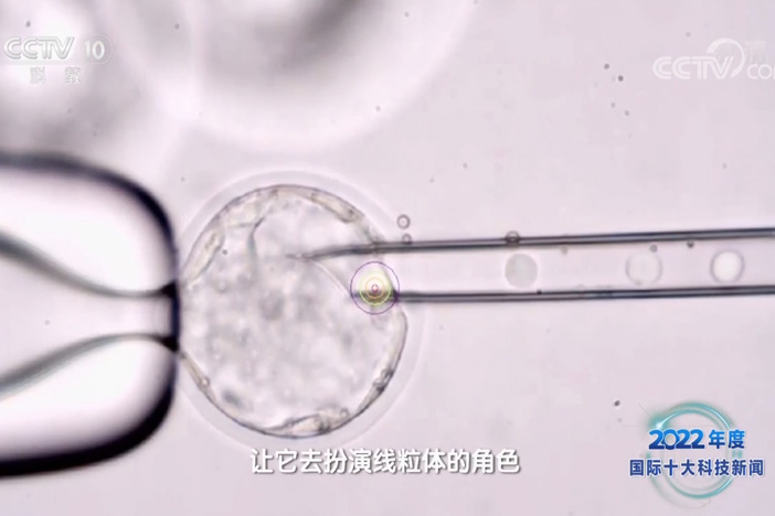 【2022年度国内国际十大科技新闻】英国科研团队在人工合成细胞研究领域迈出重要的一步