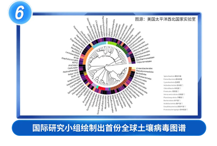 国际研究小组绘制出首份全球土壤病毒图谱