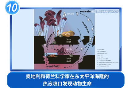 奥地利和荷兰科学家在东太平洋海隆的热液喷口发现动物生命