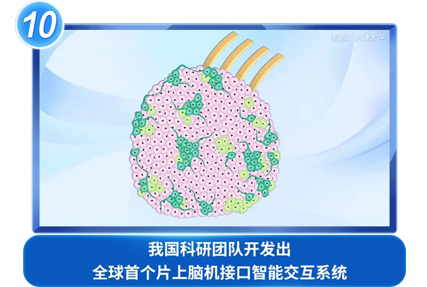 我国科研团队开发出全球首个片上脑机接口智能交互系统