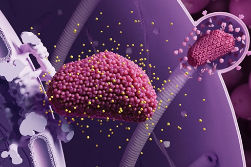 长效HIV预防针剂试验成功