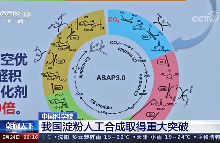 【朝闻天下】我国淀粉人工合成取得重大突破